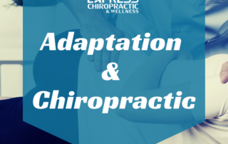 adaptation and chiropractic